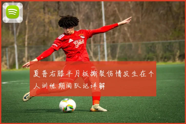 夏普右膝半月板撕裂伤情发生在个人训练期间队记详解