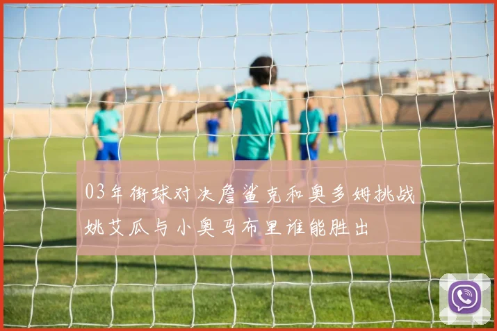 03年街球对决詹鲨克和奥多姆挑战姚艾瓜与小奥马布里谁能胜出